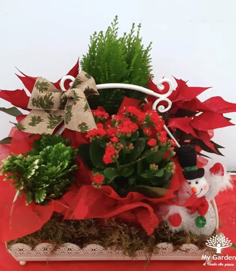 composizioni-natalizie-my-garden-(18)