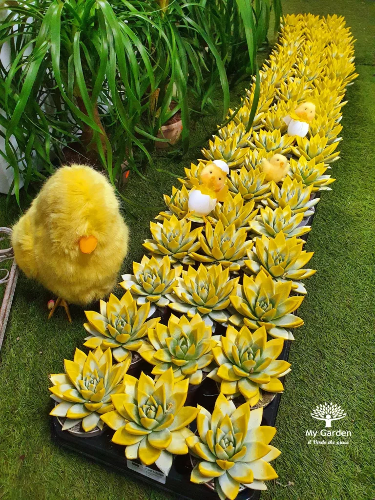 composizioni-pasquali-my-garden-(2)