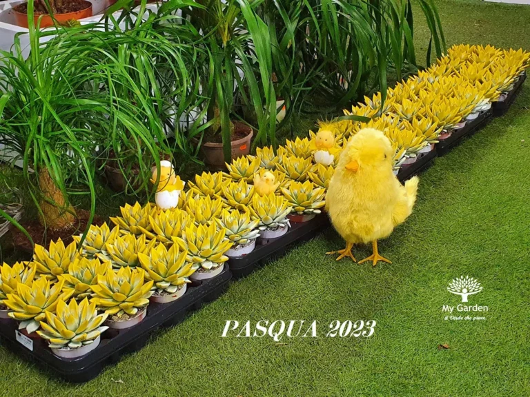 composizioni-pasquali-my-garden-(9)