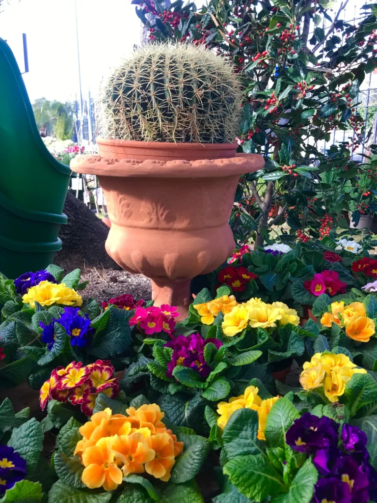 gallery-fiori-my-garden-(1)