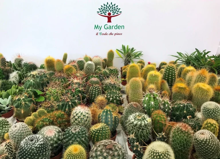 gallery-fiori-my-garden-(24)