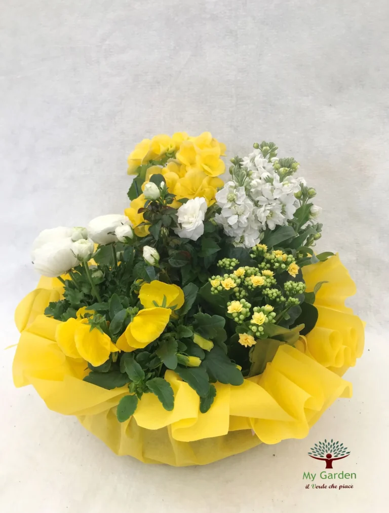 gallery-fiori-my-garden-(30)