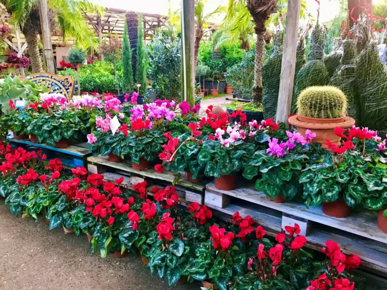 gallery-fiori-my-garden-(31)
