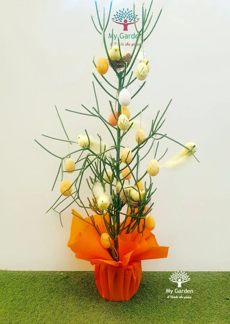 gallery-fiori-my-garden-(32)