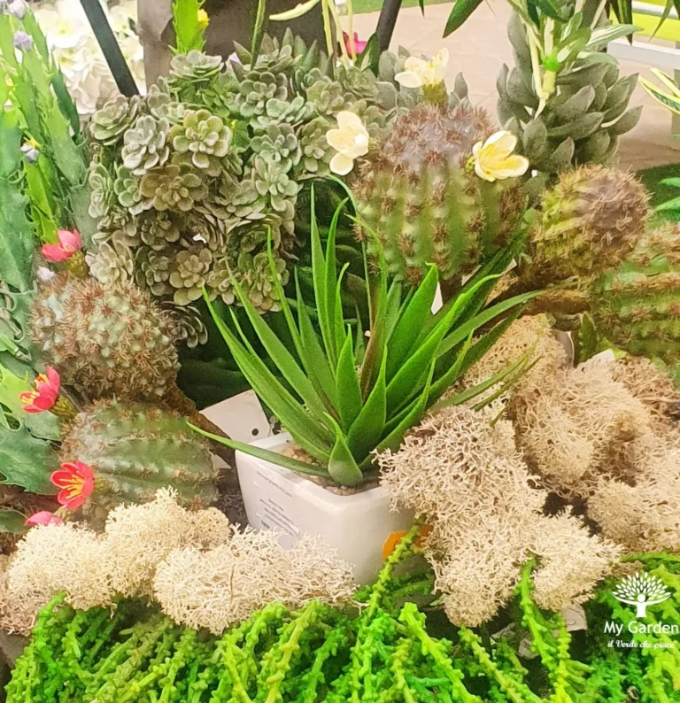gallery-fiori-my-garden-(33)