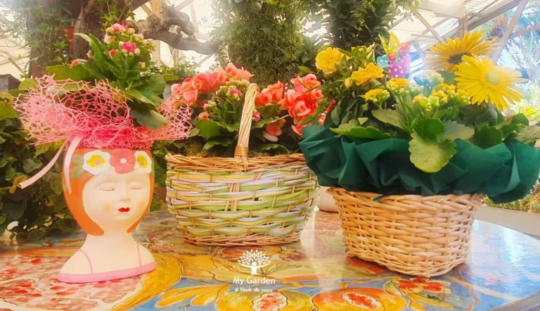 gallery-fiori-my-garden-(36)