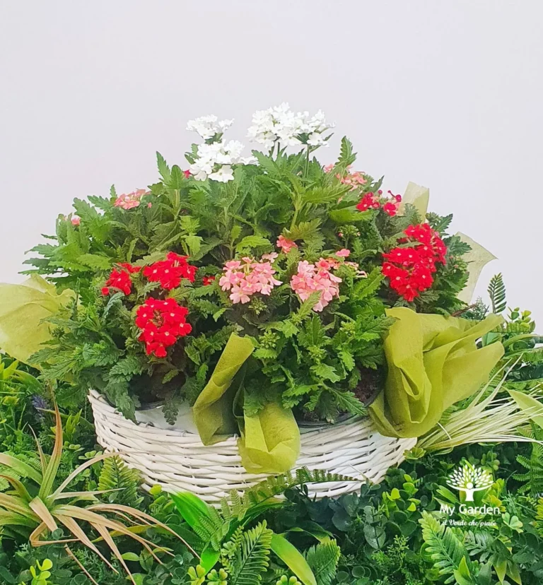 gallery-fiori-my-garden-(41)