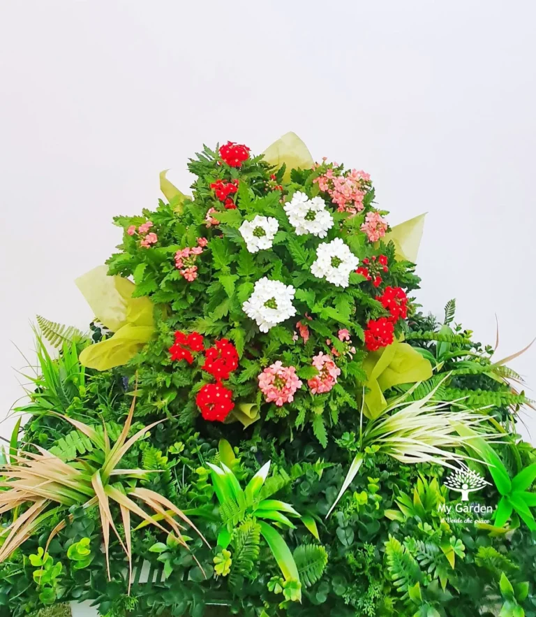 gallery-fiori-my-garden-(42)
